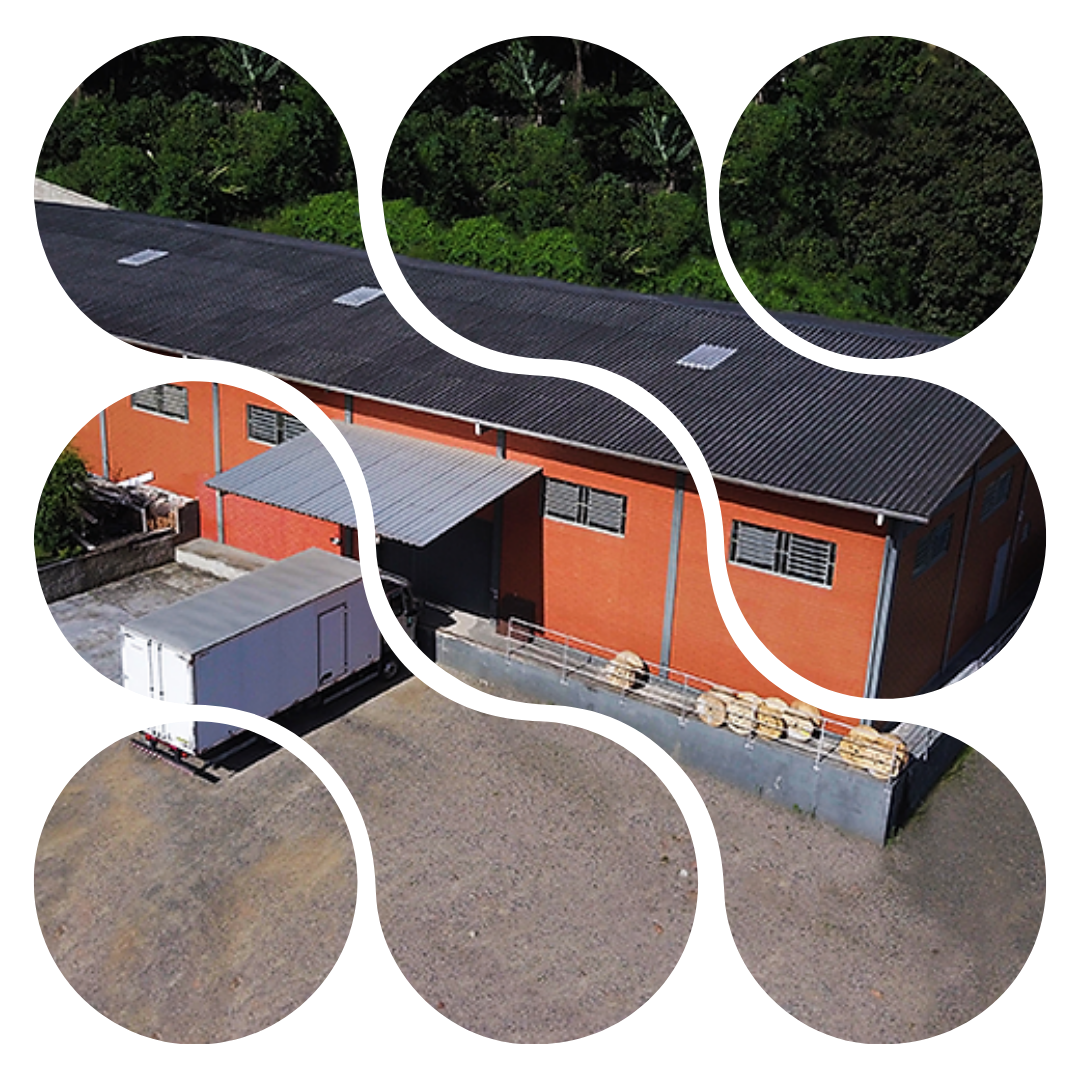 Aprovados de Junho (3)